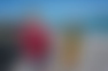 Counting the Catch: Finding the Best Way to Measure Recreational Fishing