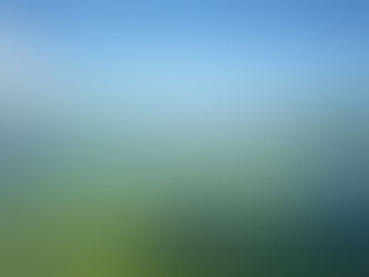 Florida Will Pay You to Fish: Here’s the Catch