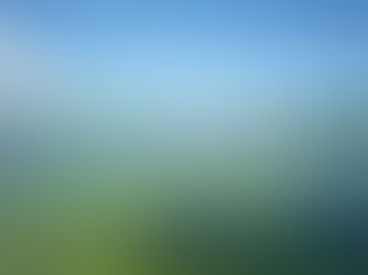 Florida Will Pay You to Fish: Here’s the Catch