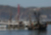Three Years Without Salmon: What Happens When a Fishery Disappears…