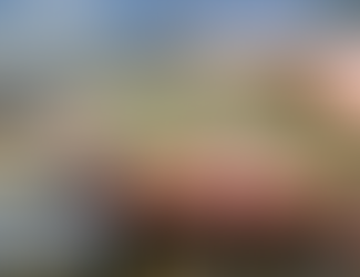 Bigger Trout, Bigger Questions: Pennsylvania Considers Raising the Minimum Size to 9 Inches