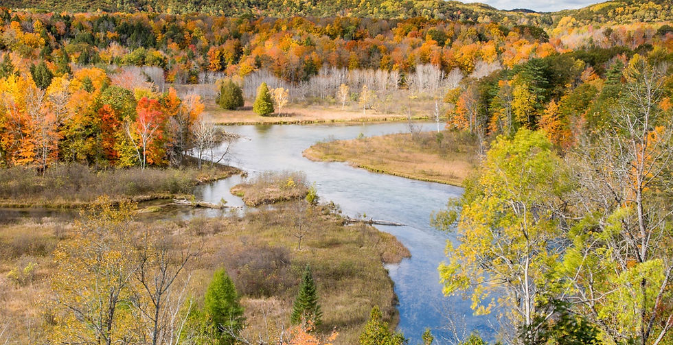 Arctic Grayling Make a Historic Return to Michigan Waters