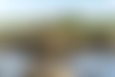 Oyster Reefs: Why They Matter More Than Most Anglers Realize