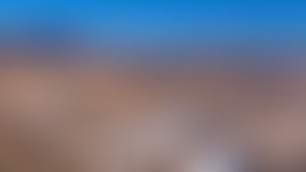 Spring Came Early: How 2026’s Snow Drought Is Already Rewriting the Fly Fishing Calendar