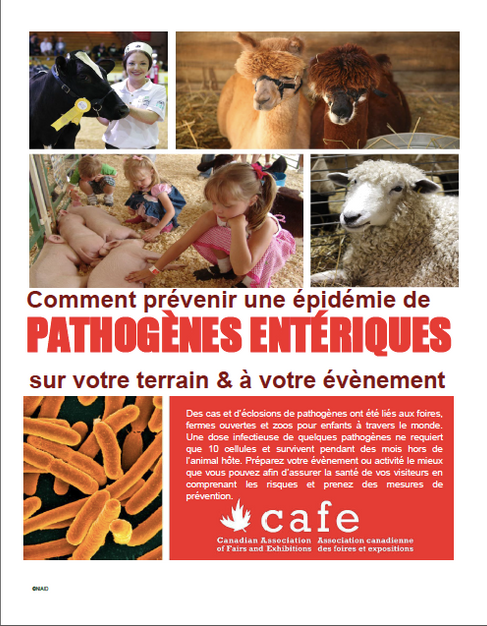Pathogenes Enteriques