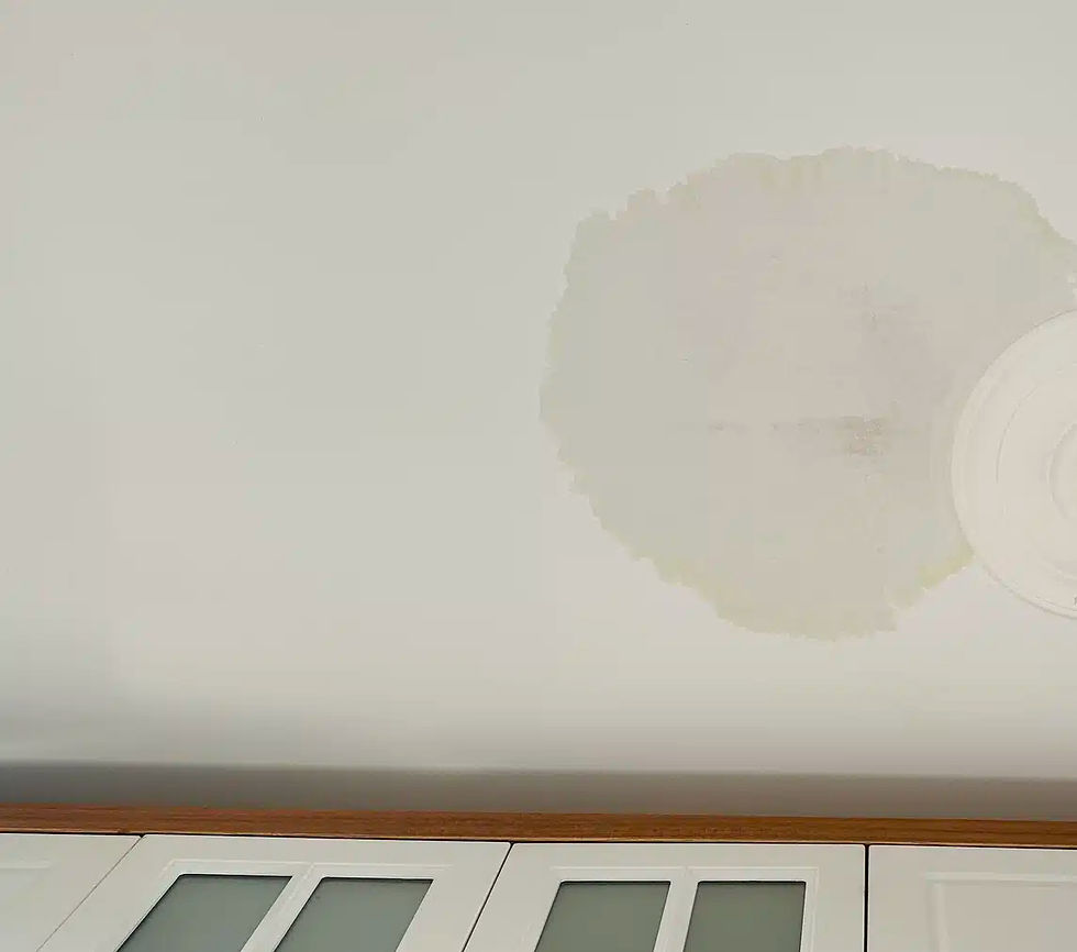 moisture coming from ceiling in Pittsburgh Pa from leaking toilet