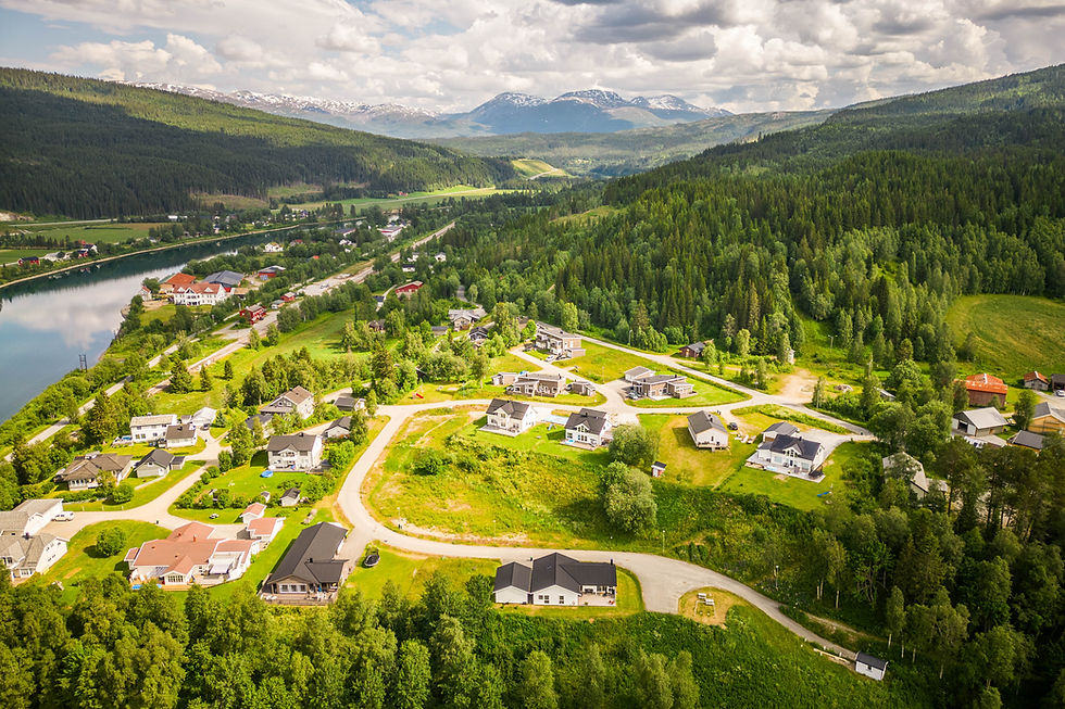 DJI_0977.jpg