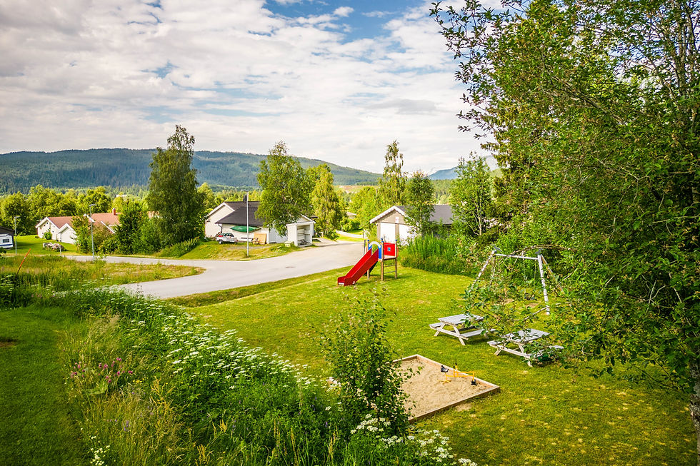 DJI_0958.jpg