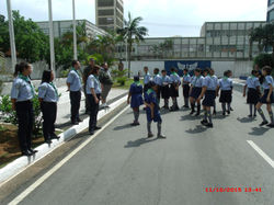 83c1e5_28aa73d4fd82475ca8c3d0095b7dbc0e