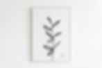 Thumbnail: Botanic Ilustration Print in White Framed