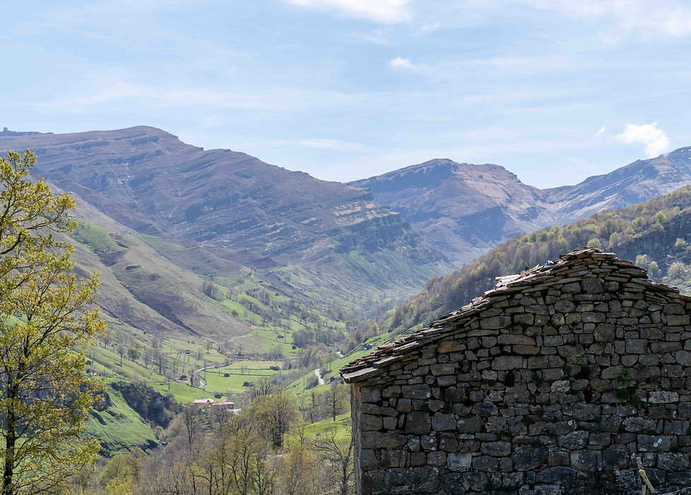 CabañaBrena_spring_by_XodoAtelier-29.jpg