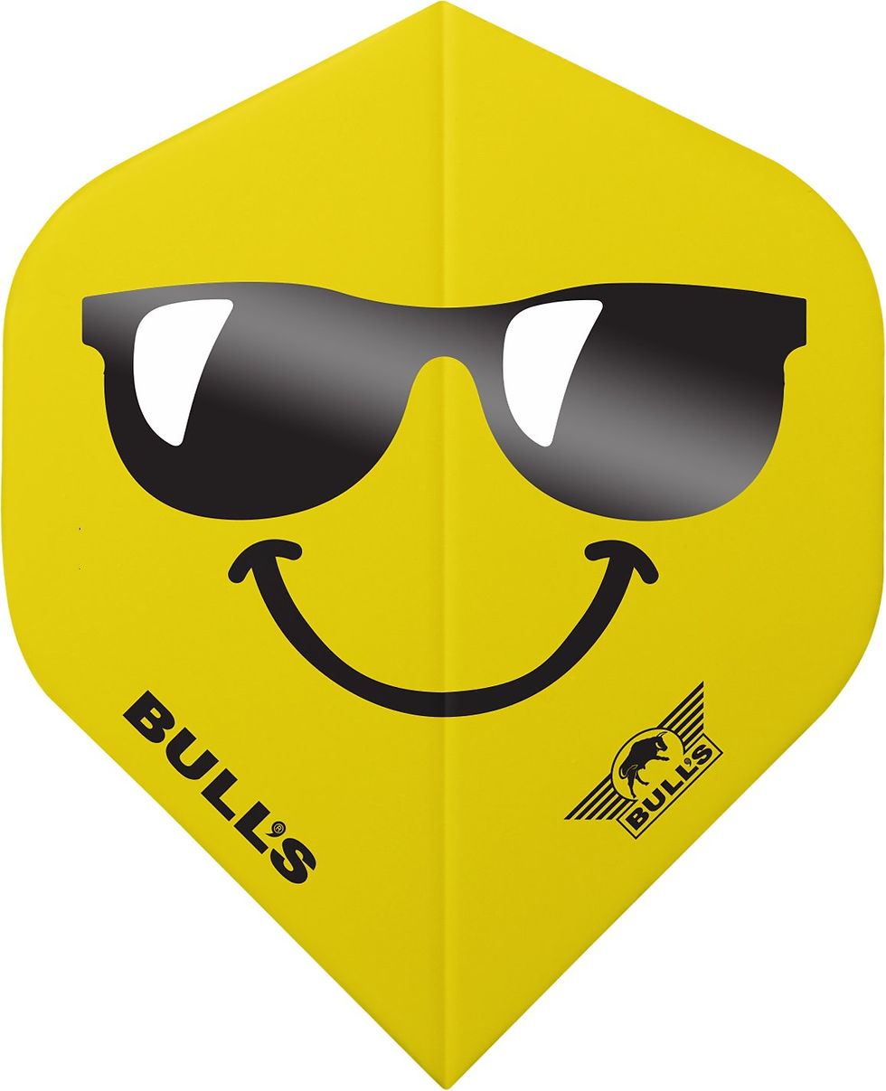 Miniaturbild: Bull's Smiley 100 Flights No.2