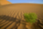 KG13a 12 OM1139 Sandstruktur Rub al Khali
