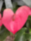 30 Days of Gratitude