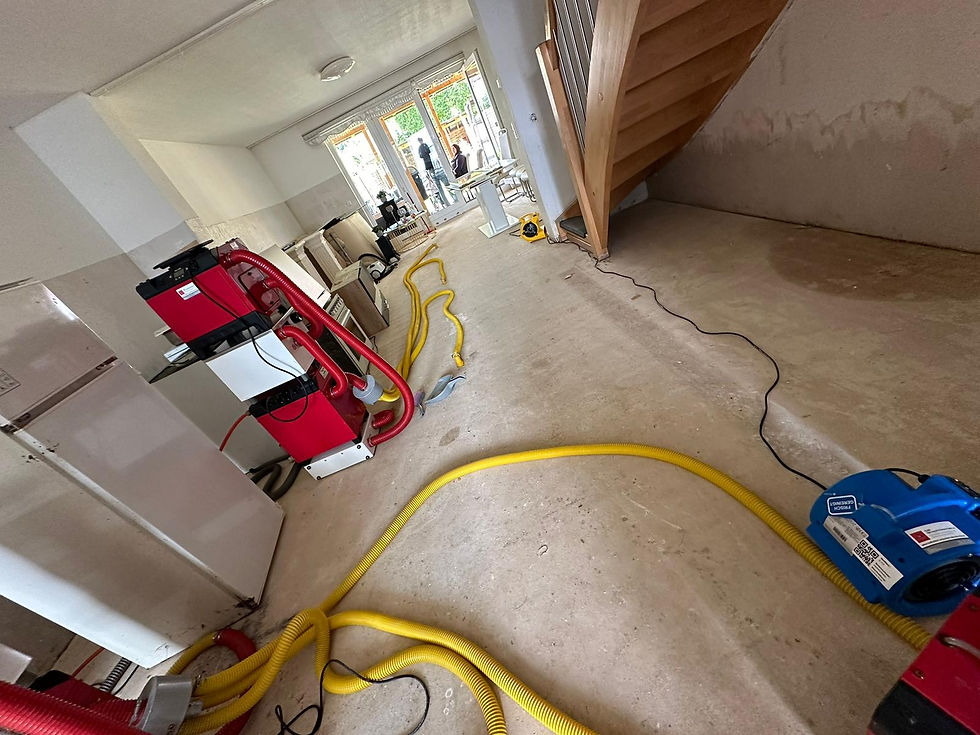 BCK Service Germania Ripristino danni causati dall'acqua