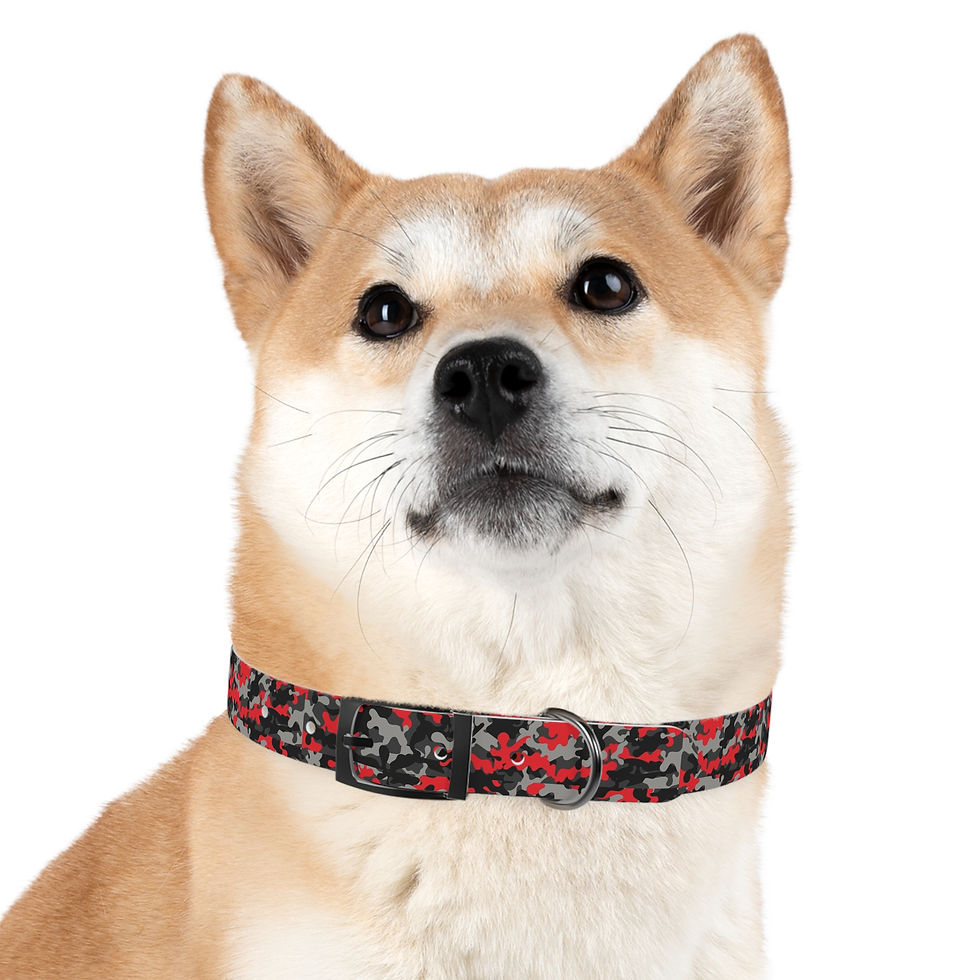 Thumbnail: Camouflage Dog Collar