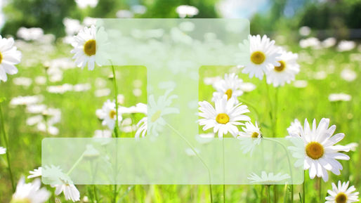 Join Neighbor Nation: Your Local Community Awaits