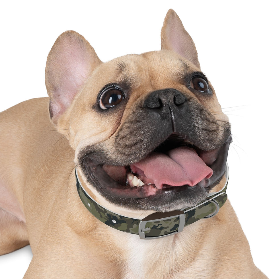 Thumbnail: Camo Dog Collar