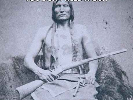 Govt Says You Don't Need a Gun.....