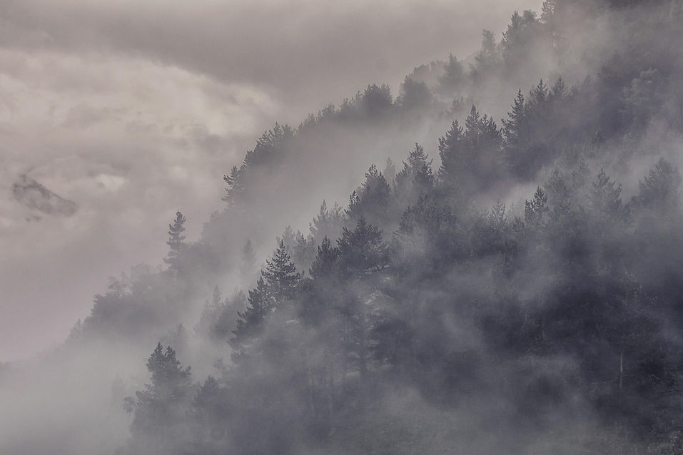 fog-5302291_1280.jpg