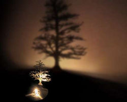 Shadow Tree
