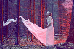 Negative Forrest