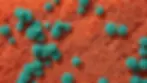 Close-up view of vibrant coral reef fabric swatch