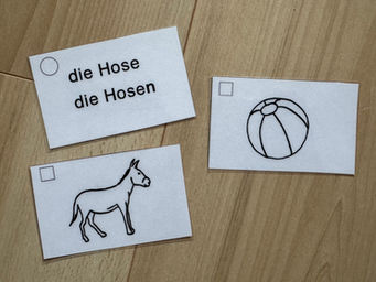 Ergänzendes Material zur Grammatikbox 1: Bild-Wortkarten mit Artikel und Plural