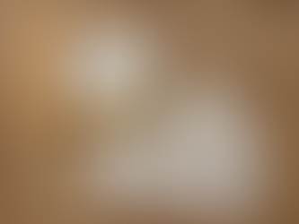 Der Stöpselkasten - Artikel handelnd sichern und verstehen