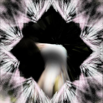 Penguin Silhouette.jpg