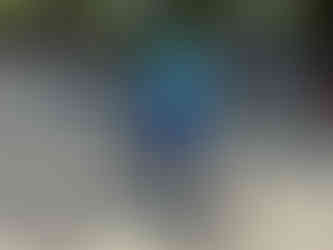 認真學習直排輪的孩子!