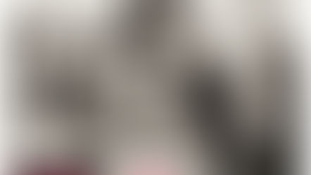 Richiesta di Modelle Curvy nel Settore Moda 