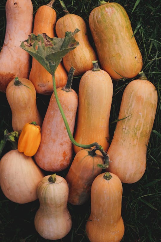 Cubes de courge butternut crus assaisonnés d'huile et d'épices avant cuisson air fryer