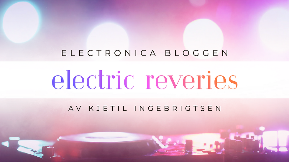 Electric Reveries - Elektronika, noe for alle?