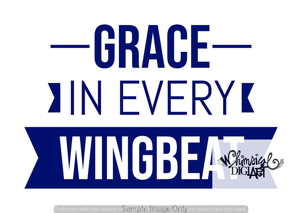 Thumbnail: Twilight Landing - 10 Images and 1 Saying