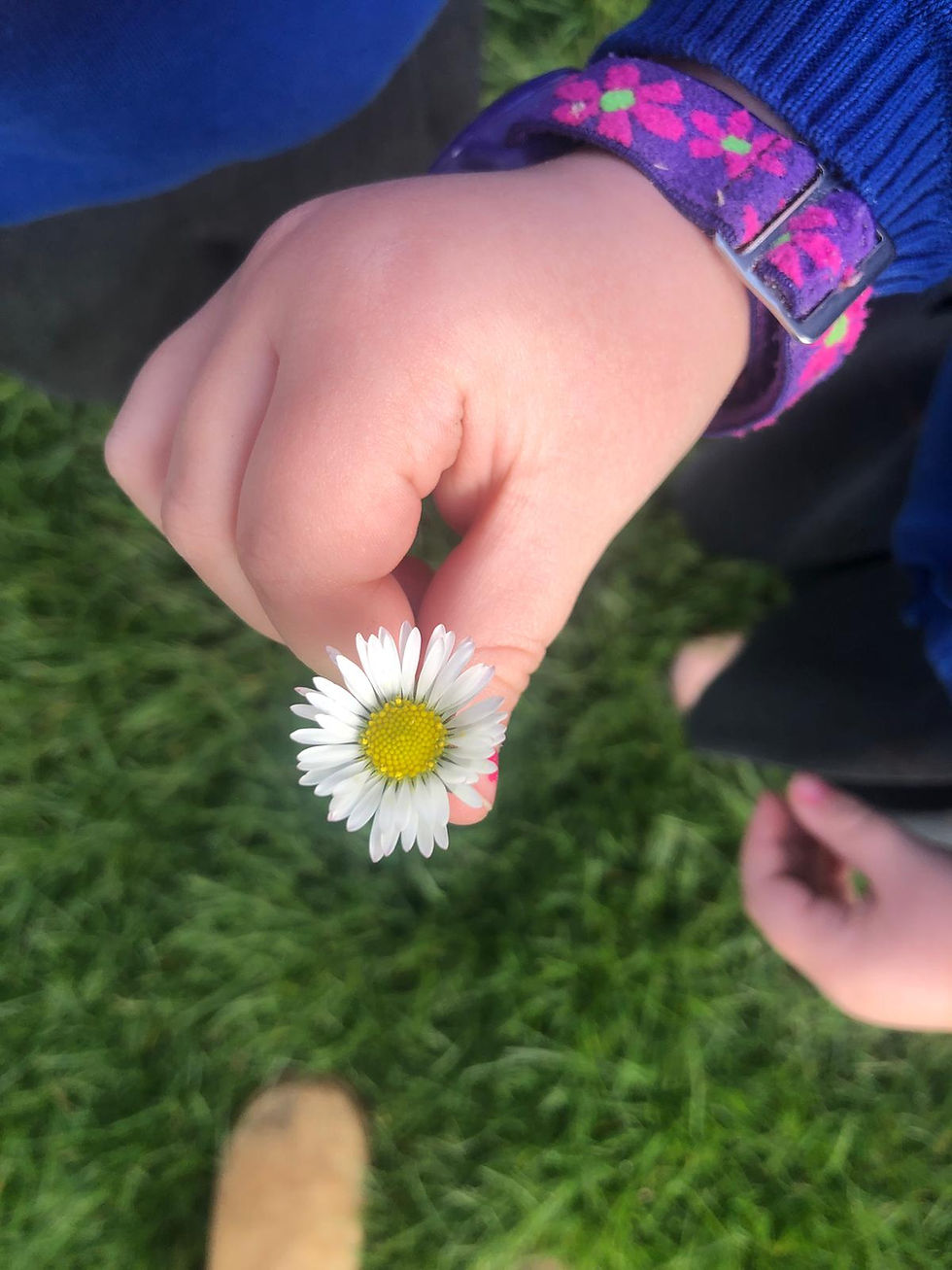 Hunting for Signs of Spring