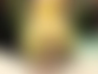 Amelia Gray Deslumbra no Met Gala 2024 com Sandália Alexandre Birman