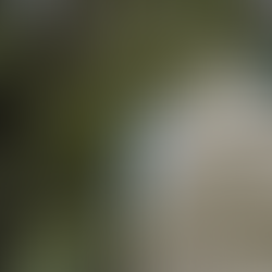 Incêndio e suspeita de bomba tensionam manhã na Esplanada dos Ministérios e interrompem rotina em Brasília