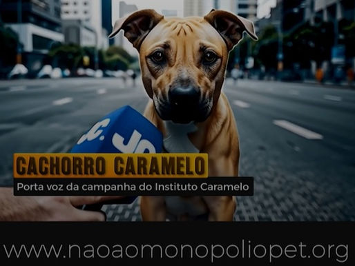 Os animais que gritam em silêncio: a batalha contra o monopólio do mercado pet e o risco de um Brasil que abandona