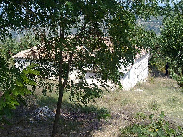 Aranitas