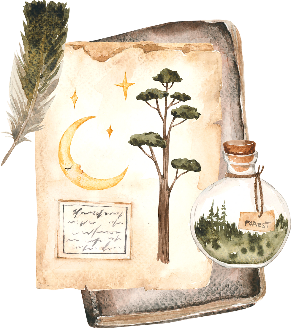 brief intro to astrology