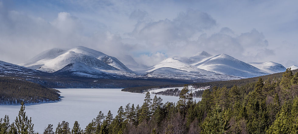 Rondanevegen – the Scenic Route Of Blue Mountains