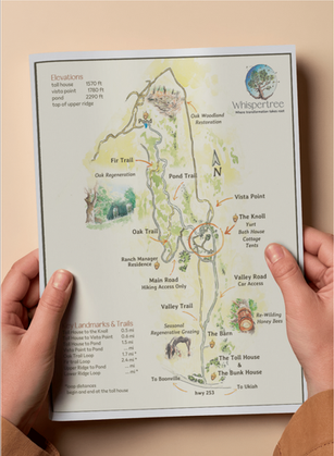Bespoke commissioned hand painted and digitally rendered trail / property map
Trail map to help guests orient themselves while hiking around the beautiful hilly wine country property of Whisper Tree Retreats in Boonville, California. Updated to include ecological points of interest.