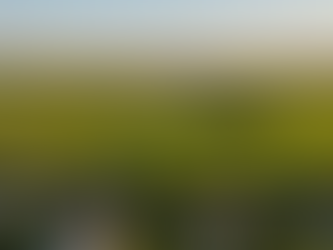 🎯 Immobilier Isère Nord : L'Isle-d'Abeau, Vaulx-Milieu et Domarin... Entre Ville et Nature