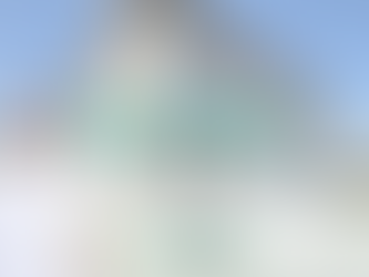 Les maisons plans Favier : un modèle emblématique