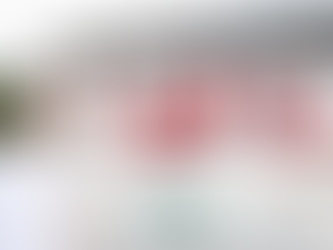 🎟️ Elle vend sa maison… en tombola ! Et gagne plus de 600 000€