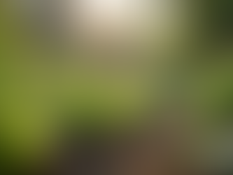 Top Open Grants You Should Apply For Now