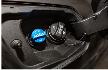 Design sans titre (6)_edited.png