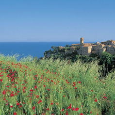 LE MARCHE: TORRE DI PALME
