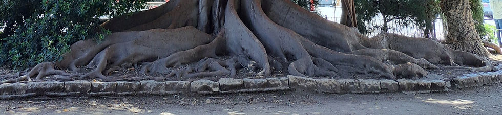 Boom Valencia_edited.jpg